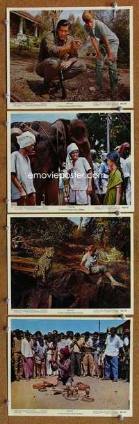 a380 MAYA 4 Eng/US color 8x10 movie stills '66 Clint Walker, India!