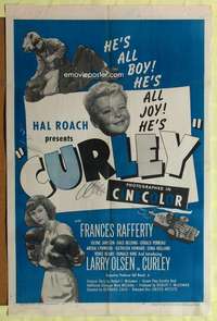 h655 CURLEY one-sheet movie poster '48 Hal Roach, female boxing!