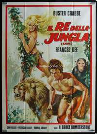 k424 KING OF THE JUNGLE Italian one-panel movie poster R70s Buster Crabbe