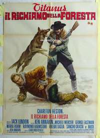 k359 CALL OF THE WILD Italian one-panel movie poster '72 Charlton Heston
