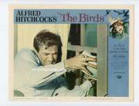 s246 BIRDS movie lobby card #6 '63 close up Rod Taylor in bird attack!