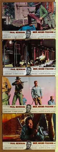 t113 COOL HAND LUKE 4 Italian photobusta movie posters '67 Paul Newman