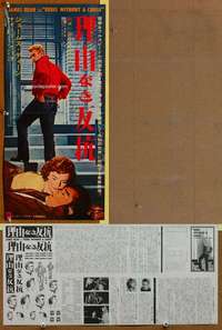 t499 REBEL WITHOUT A CAUSE Japanese 10x20 movie poster '55 James Dean