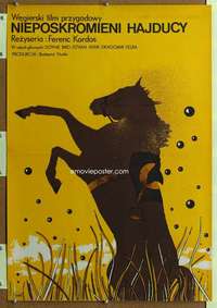 t381 HAJDUK Polish 23x33 movie poster '75 Neugebauer horse art!