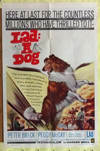 a526 LAD A DOG one-sheet movie poster '61 wonderful Collie dog image!