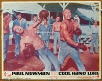 b349 COOL HAND LUKE movie lobby card #1 '67 Paul Newman boxing!