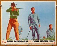 b350 COOL HAND LUKE movie lobby card #3 '67 Newman, man with no eyes!