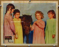 b363 CURLY TOP #5 movie lobby card '35 Shirley Temple with pony!