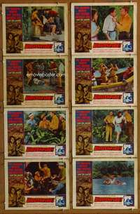 c167 BRUSHFIRE 8 movie lobby cards '62 John Ireland, Everett Sloane