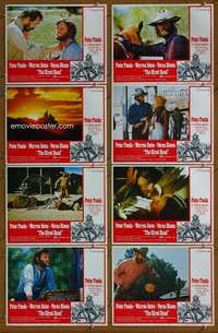c422 HIRED HAND 8 movie lobby cards '71 Peter Fonda, Warren Oates