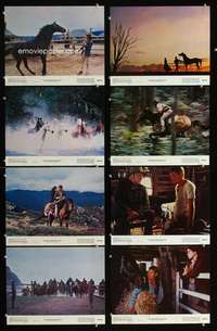 c536 MAN FROM SNOWY RIVER 8 color movie 11x14 stills '82 George Miller