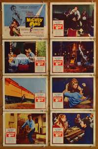 c554 MICKEY ONE 8 movie lobby cards '65 Warren Beatty, Hurd Hatfield