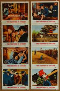 c623 PASSWORD IS COURAGE 8 movie lobby cards '63 Dirk Bogarde, WWII