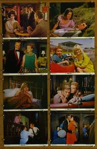 c638 PRUDENCE & THE PILL 8 color movie 11x14 stills '68 Deborah Kerr