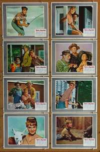 c783 TAMMY & THE MILLIONAIRE 8 movie lobby cards '67 Debbie Watson
