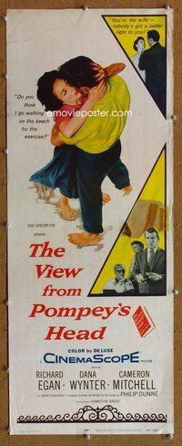 d340 VIEW FROM POMPEY'S HEAD insert movie poster '55 Dana Wynter