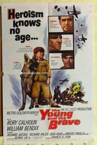 g710 YOUNG & THE BRAVE one-sheet movie poster '63 Calhoun, boy & his dog!