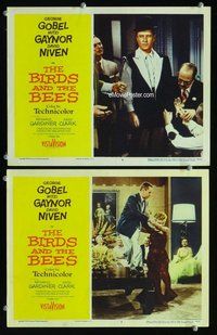 h843 BIRDS & THE BEES 2 move lobby cards '56 George Gobel, Gaynor