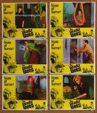 h457 DEADLY BEES 6 move lobby cards '67 hives of horror, fatal stings!