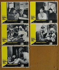 h604 MIDNIGHT COWBOY 5 move lobby cards '69 Dustin Hoffman, Jon Voight
