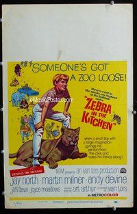 k514 ZEBRA IN THE KITCHEN window card movie poster '65 Jay North & animals!
