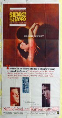 n525 SPLENDOR IN THE GRASS three-sheet movie poster '61 Natalie Wood, Beatty
