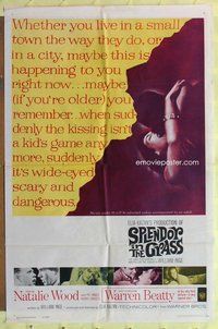 s667 SPLENDOR IN THE GRASS one-sheet movie poster '61 Natalie Wood, Beatty