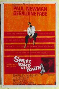 s705 SWEET BIRD OF YOUTH one-sheet movie poster '62 Paul Newman, Page