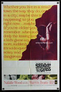 b439 SPLENDOR IN THE GRASS one-sheet movie poster '61 Natalie Wood, Beatty