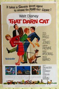 b479 THAT DARN CAT style A one-sheet movie poster '65 Hayley Mills, Disney