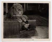 g081 ALL ABOARD vintage 8x10 movie still '27 Johnny Hines scared by lion!