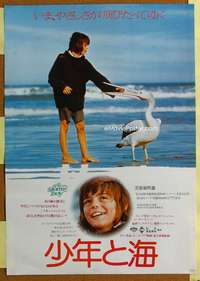 h642 STORM BOY Japanese movie poster '76 Henri Safran, Australian!