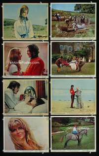 p072 FAR FROM THE MADDING CROWD 8 Eng/US color vintage movie 8x10 stills '68