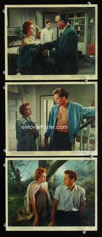 p412 TEA & SYMPATHY 3 Eng/US color vintage movie 8x10 stills '56 Deborah & John Kerr!