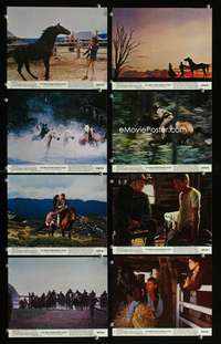 p102 MAN FROM SNOWY RIVER 8 vintage movie color 8x10 mini lobby cards '82