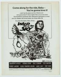 t198 WILD IN THE SKY vintage 8x10 movie still '72 Brandon De Wilde
