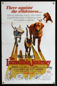 y601 INCREDIBLE JOURNEY one-sheet movie poster '63 Walt Disney animals!