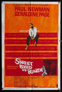 y180 SWEET BIRD OF YOUTH one-sheet movie poster '62 Paul Newman, Page