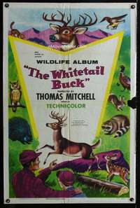 y025 WHITETAIL BUCK one-sheet movie poster '55 nature documentary!