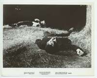 c091 NIGHT OF THE LIVING DEAD vintage 8x10 movie still '68 zombies!