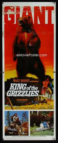 f324 KING OF THE GRIZZLIES insert movie poster '70 Walt Disney bear!