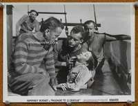 g193 PASSAGE TO MARSEILLE 8x10 movie still R56 Humphrey Bogart