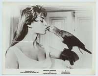 g227 THAT NAUGHTY GIRL 8x10 movie still '56 Bardot kisses parrot!