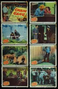 v237 CHAIN GANG 8 movie lobby cards '50 Douglas Kennedy, prison break!