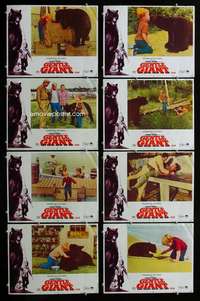 v325 GENTLE GIANT 8 movie lobby cards '67 Dennis Weaver & big bear!