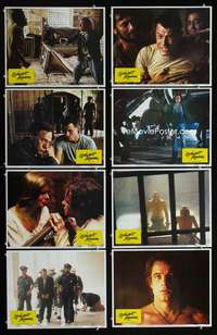 v457 MIDNIGHT EXPRESS 8 movie lobby cards '78 Oliver Stone, Alan Parker