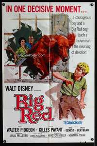 c797 BIG RED one-sheet movie poster '62 Disney, Pigeon, Irish Setter!