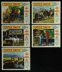 e465 CATTLE DRIVE 5 movie lobby cards '51 Joel McCrea, Dean Stockwell
