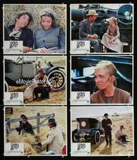 e353 DAYS OF HEAVEN 6 movie lobby cards '78 Richard Gere, Brooke Adams
