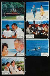 e261 ISLANDS IN THE STREAM 7 movie lobby cards '77 Hemingway